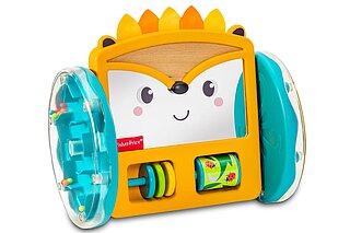 Play & Crawl Hedgehog Mirror