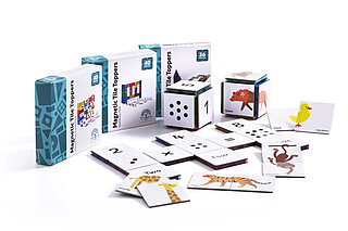 Magnetic Tile Topper (Learn & Grow Toys)