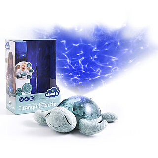 Tranquil Turtle – Green (CLOUD B)